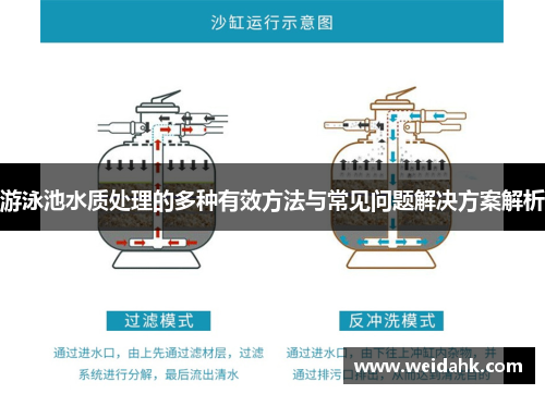 游泳池水质处理的多种有效方法与常见问题解决方案解析
