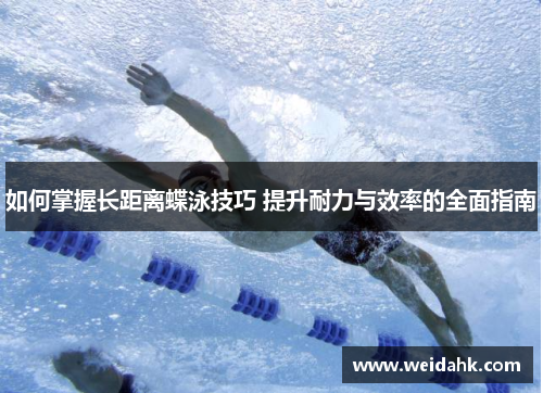 如何掌握长距离蝶泳技巧 提升耐力与效率的全面指南
