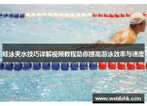 蛙泳夹水技巧详解视频教程助你提高游泳效率与速度