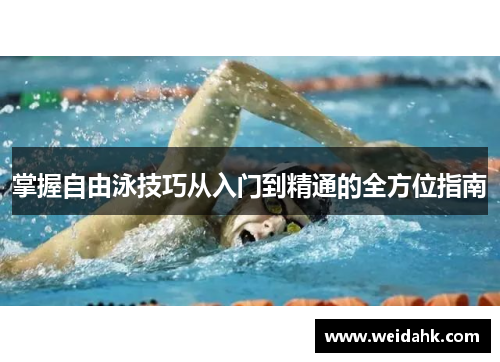掌握自由泳技巧从入门到精通的全方位指南