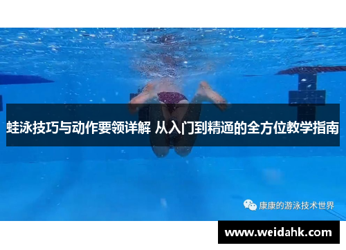 蛙泳技巧与动作要领详解 从入门到精通的全方位教学指南